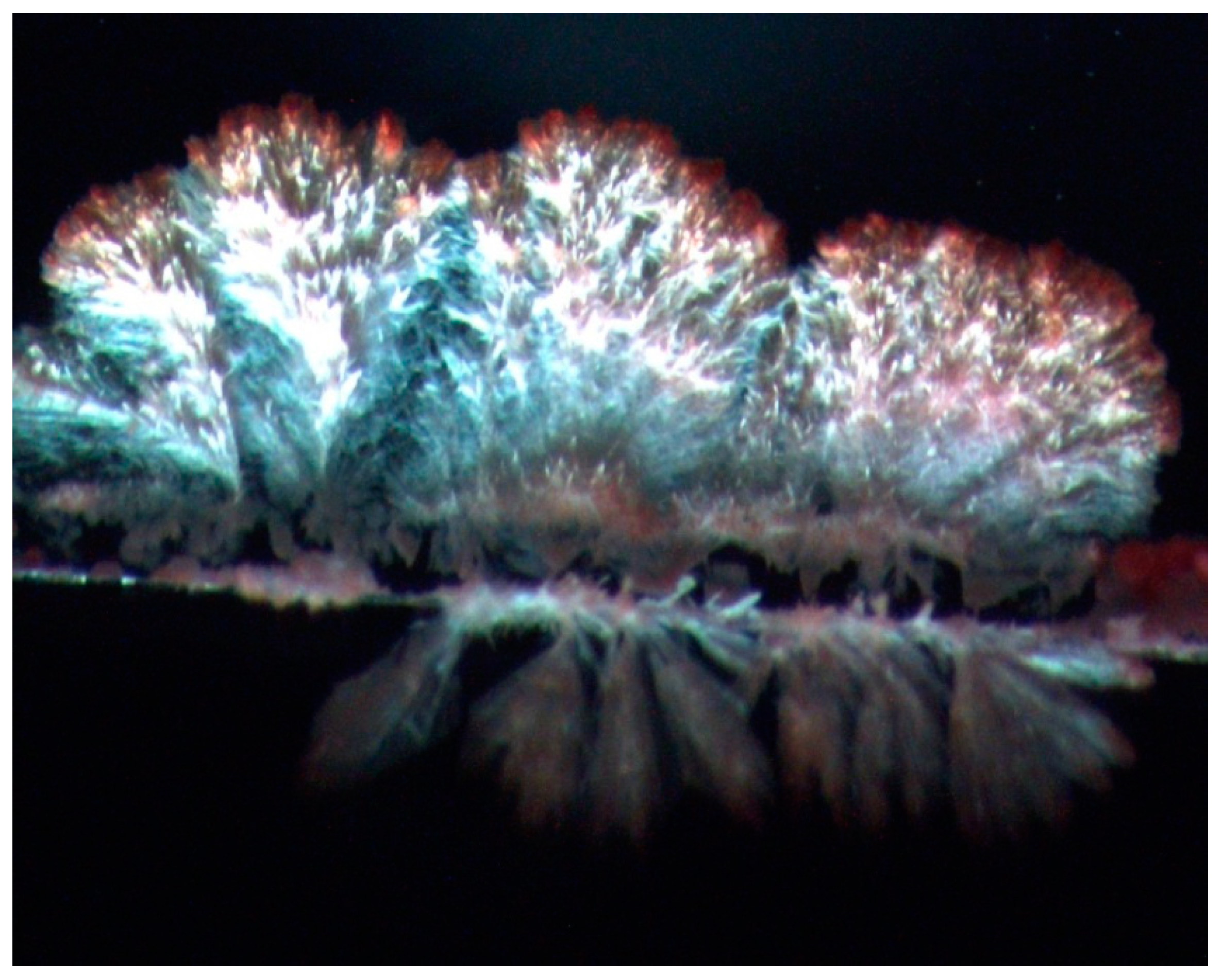 Buildings 11 00515 g001