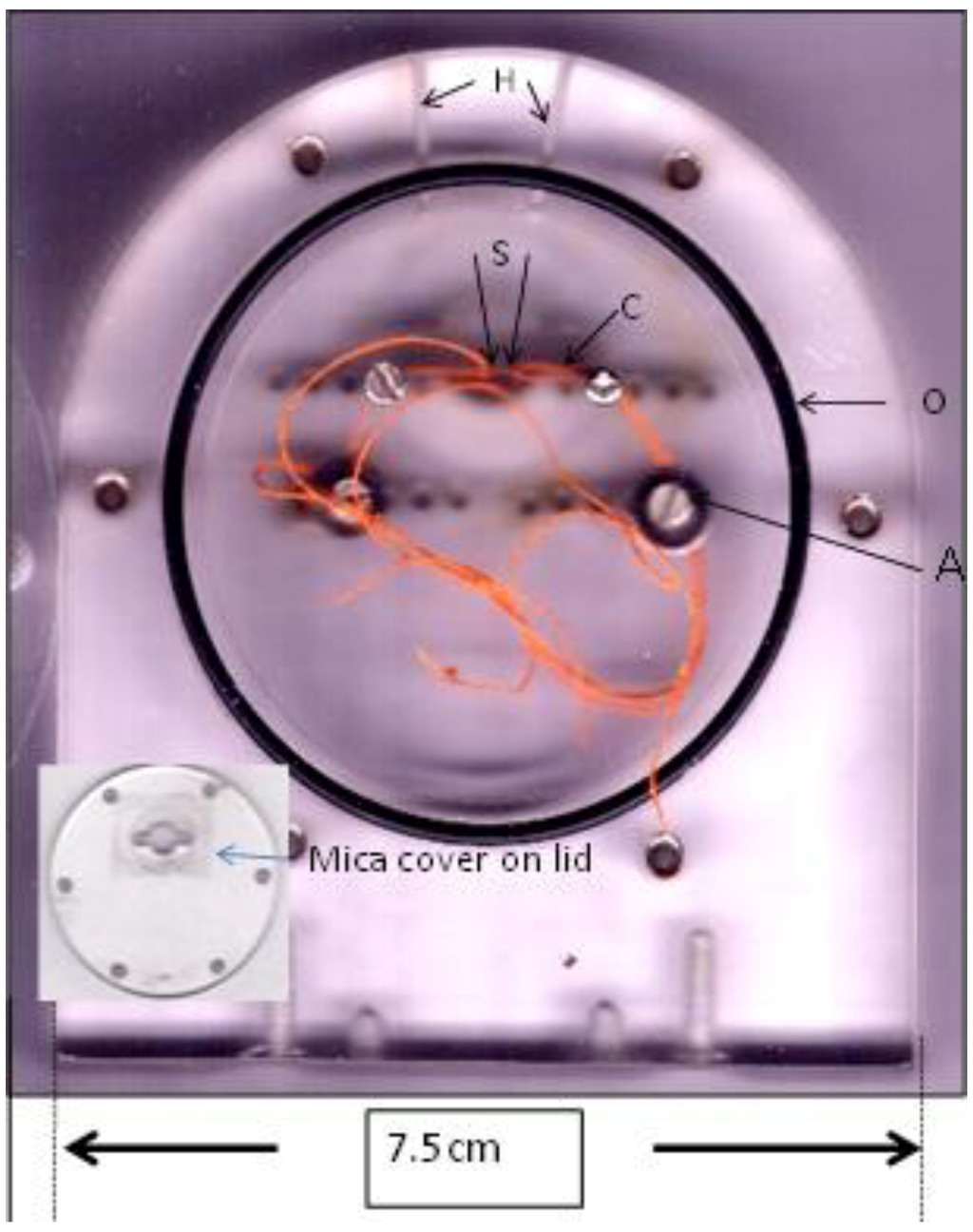Cancers 02 01155 g006 1024