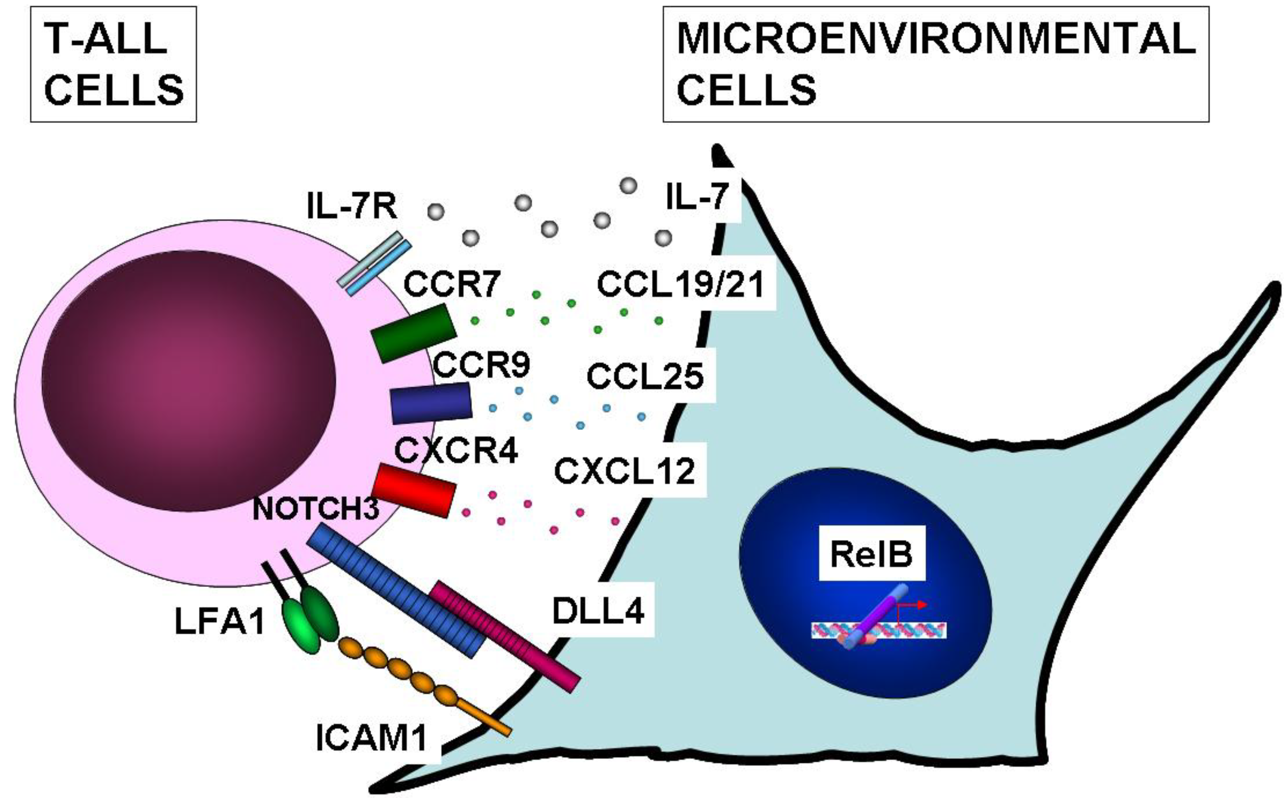 Cancers 02 01838 g003