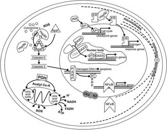 environmental causes of cancer biology essay Genetics and cancer some types of cancer run in certain families, but most cancers are not clearly linked to the genes we inherit from our parents gene changes that start in a single cell over the course of a person's life cause most cancers. environmental causes of cancer biology essay Genetics and cancer some types of cancer run in certain families, but most cancers are not clearly linked to the genes we inherit from our parents gene changes that start in a single cell over the course of a person's life cause most cancers.