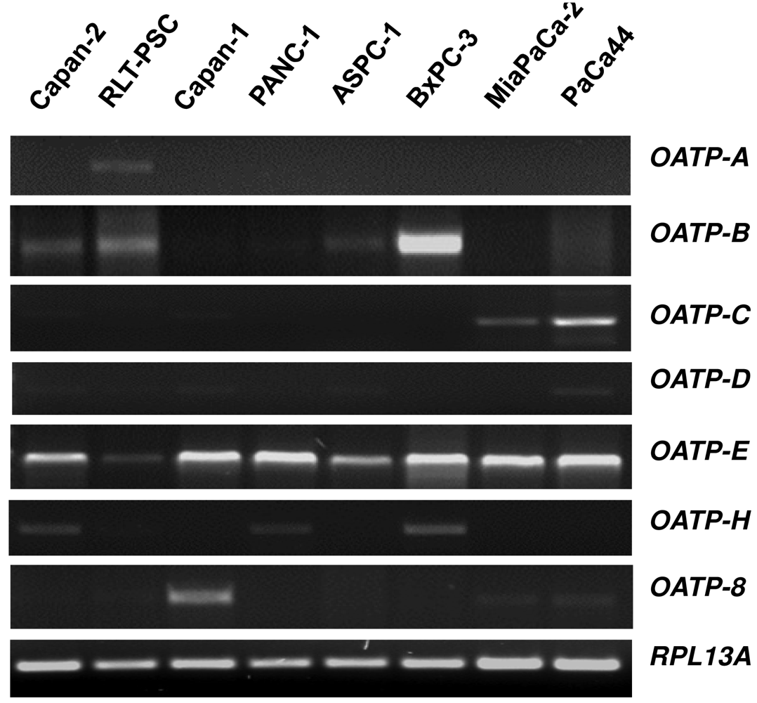 Cancers 03 00106f1 1024