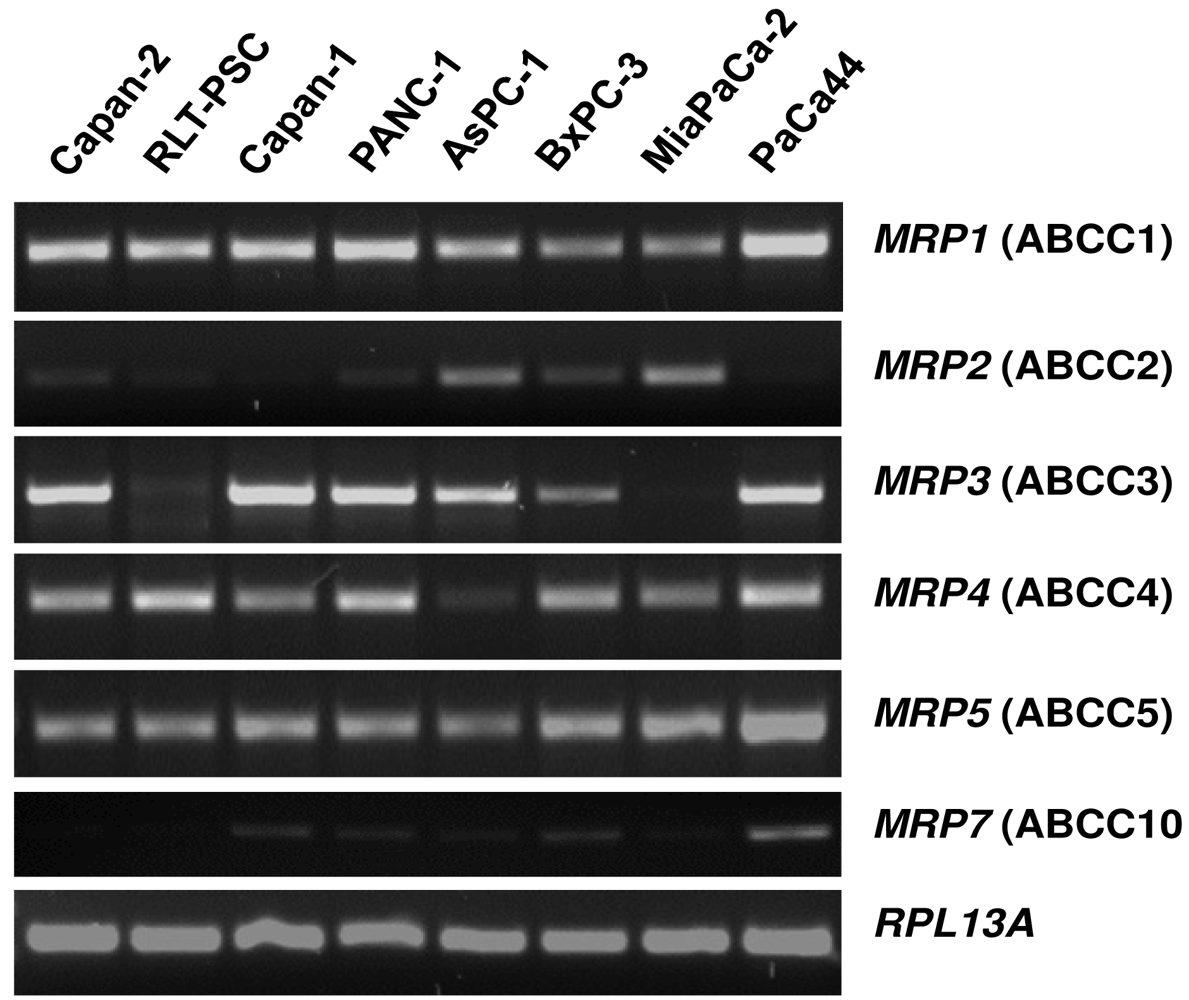 Cancers 03 00106f2 1024