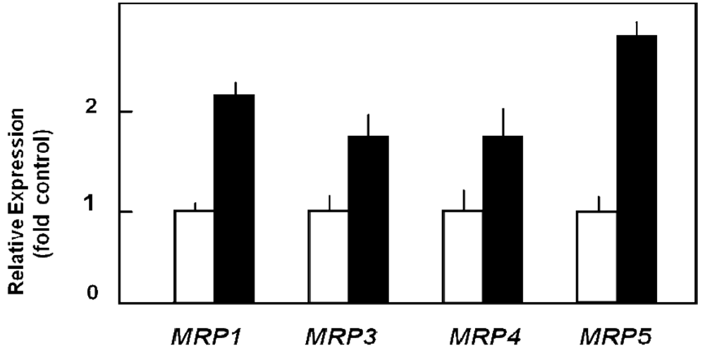 Cancers 03 00106f3 1024