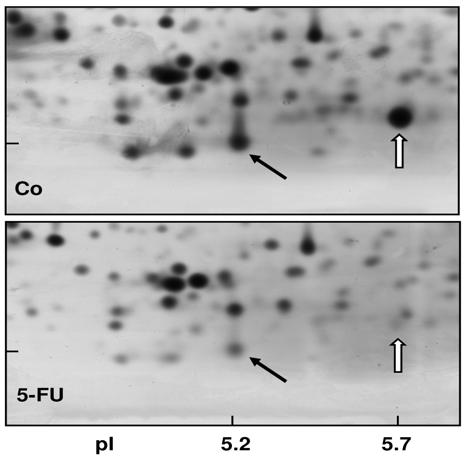 Cancers 03 00106f4 1024