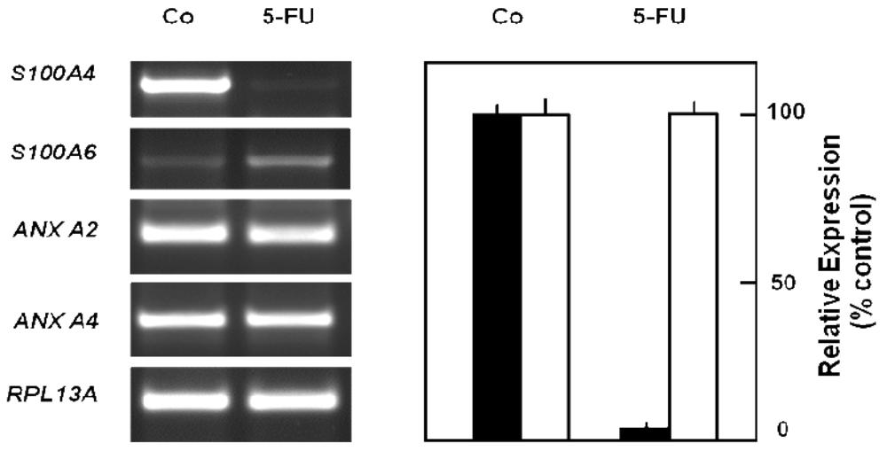 Cancers 03 00106f5 1024