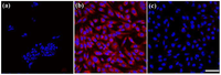 Cancers 03 00227f7 200