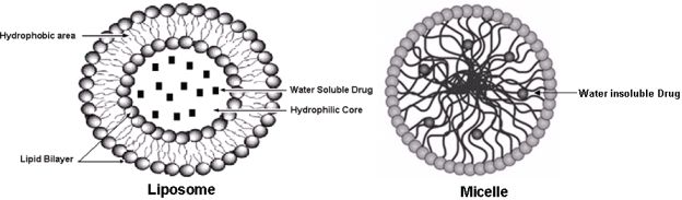 nanotechnology and chemoprevention essay Free essay: nanotechnology “imagine a technology so powerful that it will allow such feats as desktop manufacturing, cellular repair, artificial. nanotechnology and chemoprevention essay Free essay: nanotechnology “imagine a technology so powerful that it will allow such feats as desktop manufacturing, cellular repair, artificial.