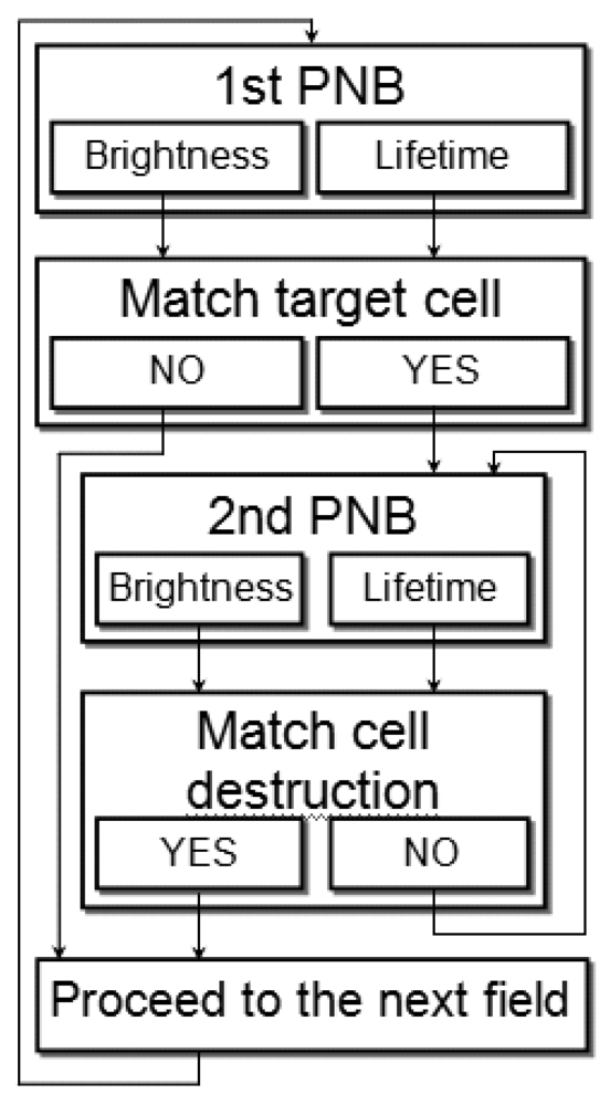 Cellular Therapy Pdf