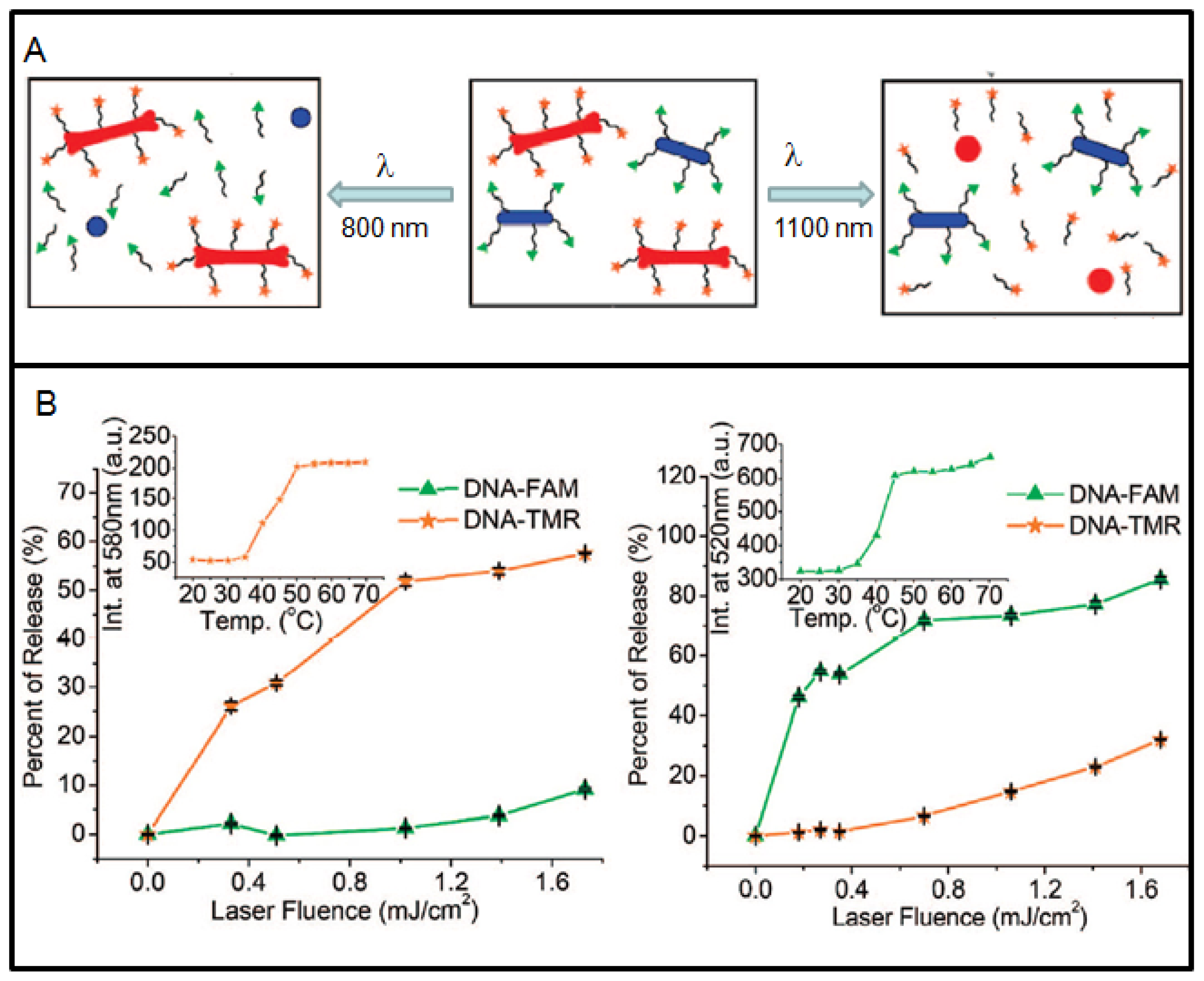 Cancers 03 01081f6 1024