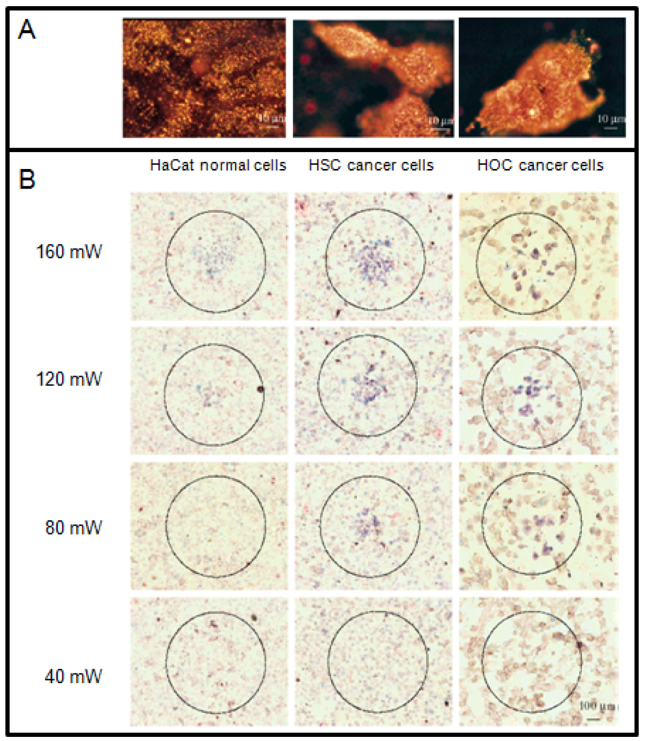 Cancers 03 01081f7 1024