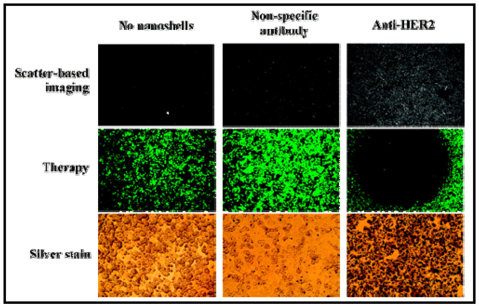 Cancers 03 01081f8 1024