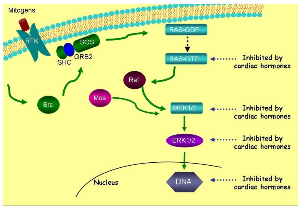 download protein design methods