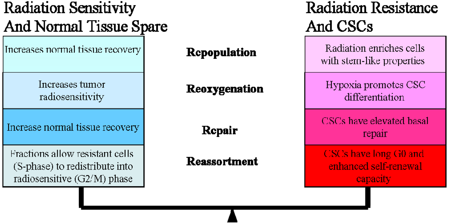 Cancers 03 01232f1 1024