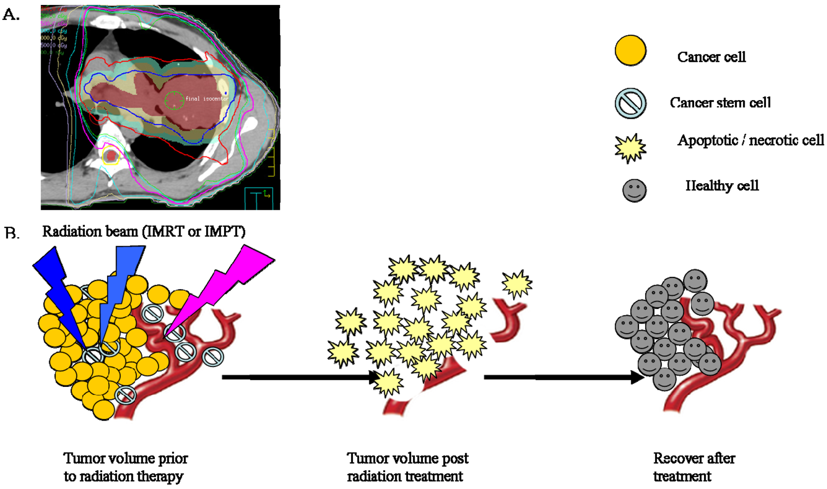 Cancers 03 01232f3 1024