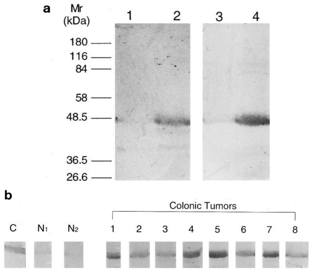 Cancers 03 01372f1 1024