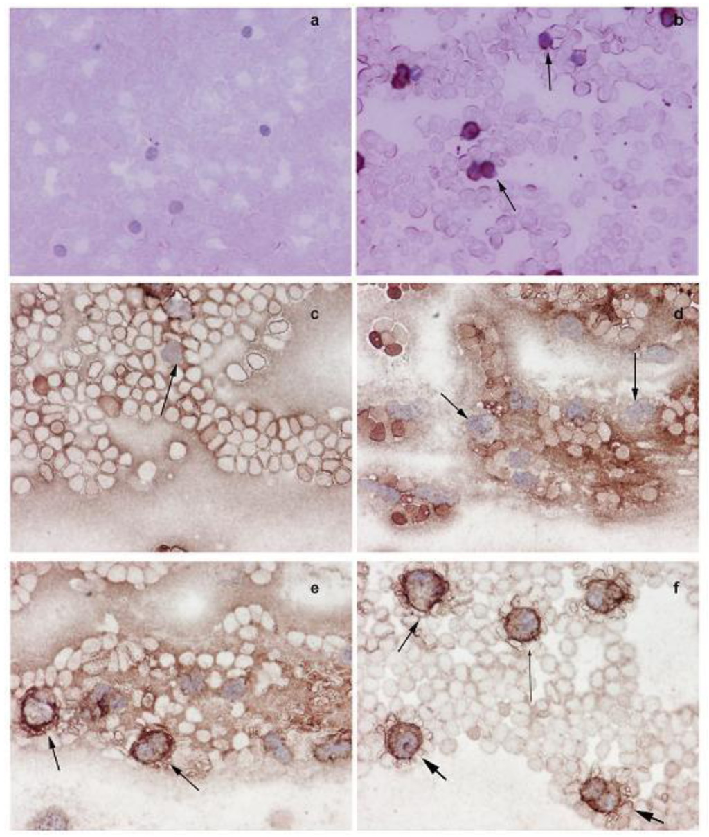 Cancers 03 01372f4 1024