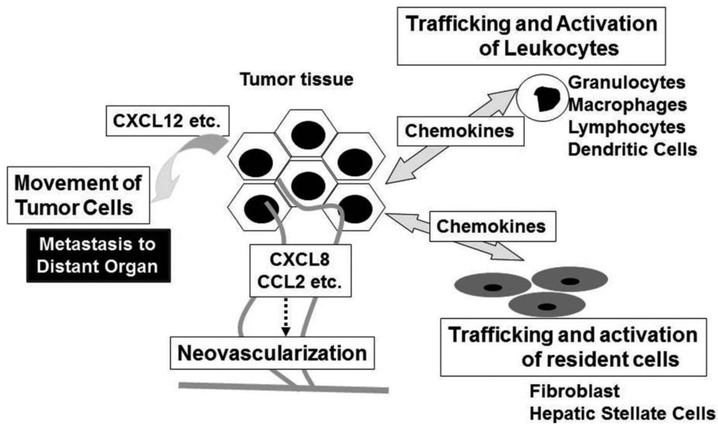 Cancers 03 02811f3 1024