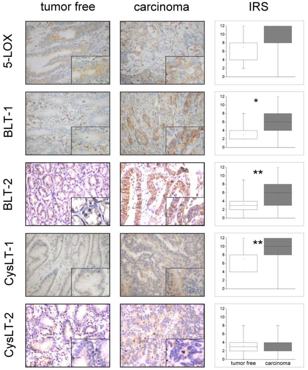 Cancers 03 03156f1 1024
