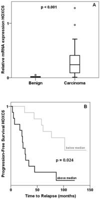 Cancers 03 03714f1 200