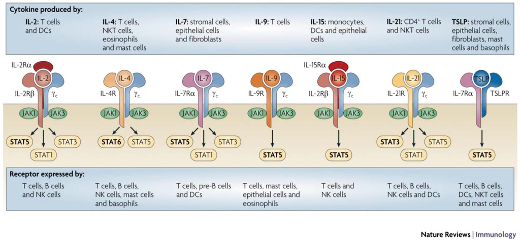 book molecular markers of brain tumor cells implications for diagnosis prognosis and anti neoplastic biological therapy