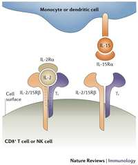 Cancers 03 03856f2 200