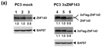 Cancers 03 03909f3a 200