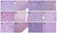 Cancers 03 04151f7 200