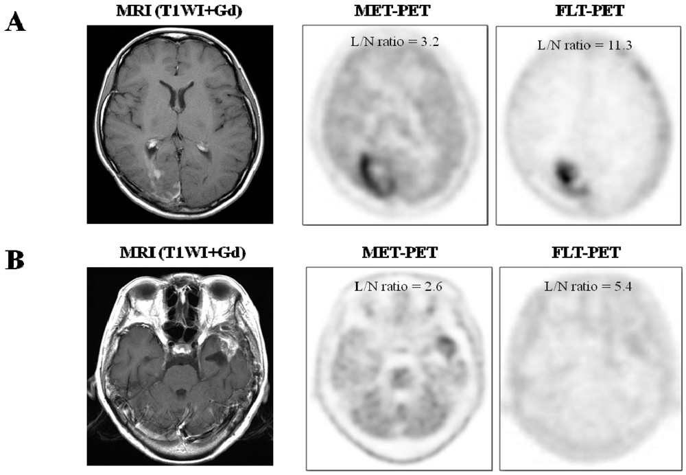 Cancers 04 00244 g001