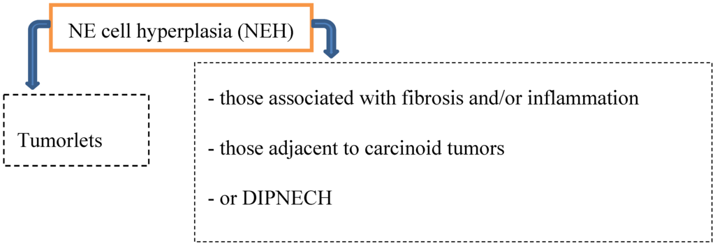 Cancers 04 00777 g001 1024