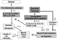 Cancers 04 01247 g001 200