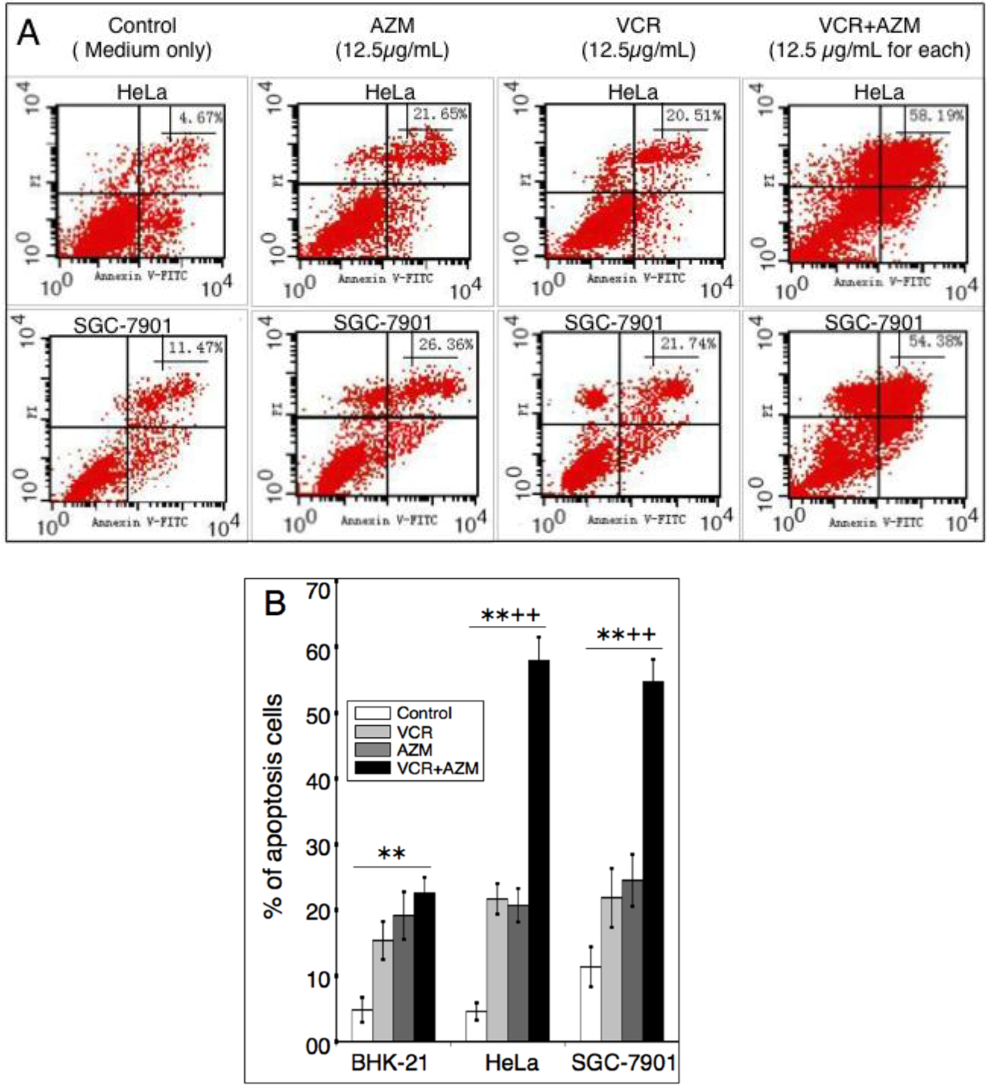 Cancers 04 01318 g003
