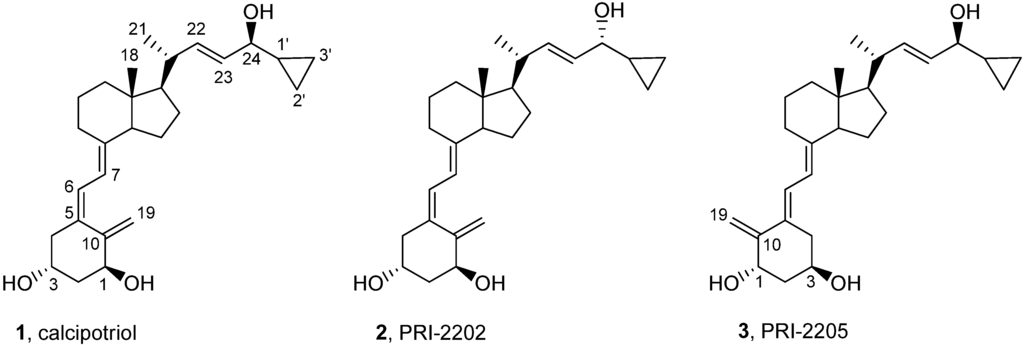 Cancers 05 01355 g001 1024