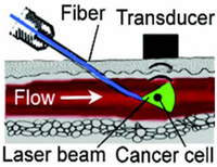 Cancers 05 01691 g008 200