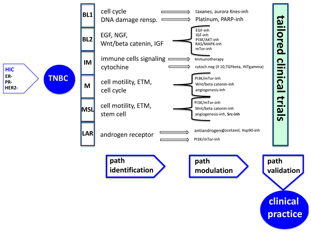 Cancers Free FullText Standard of Care and Promising New Agents