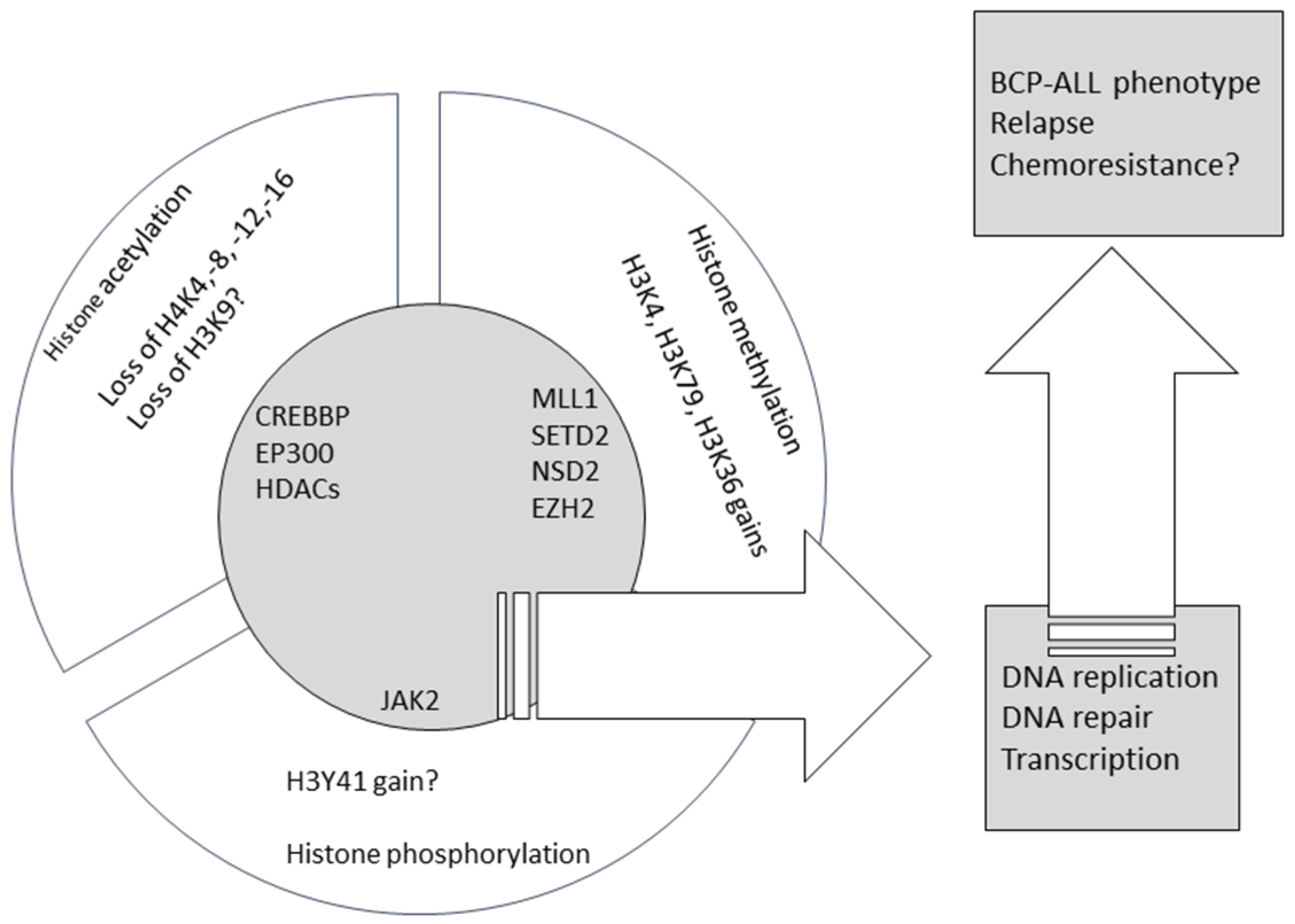 Cancers An Open Access Oncology Journal from MDPI