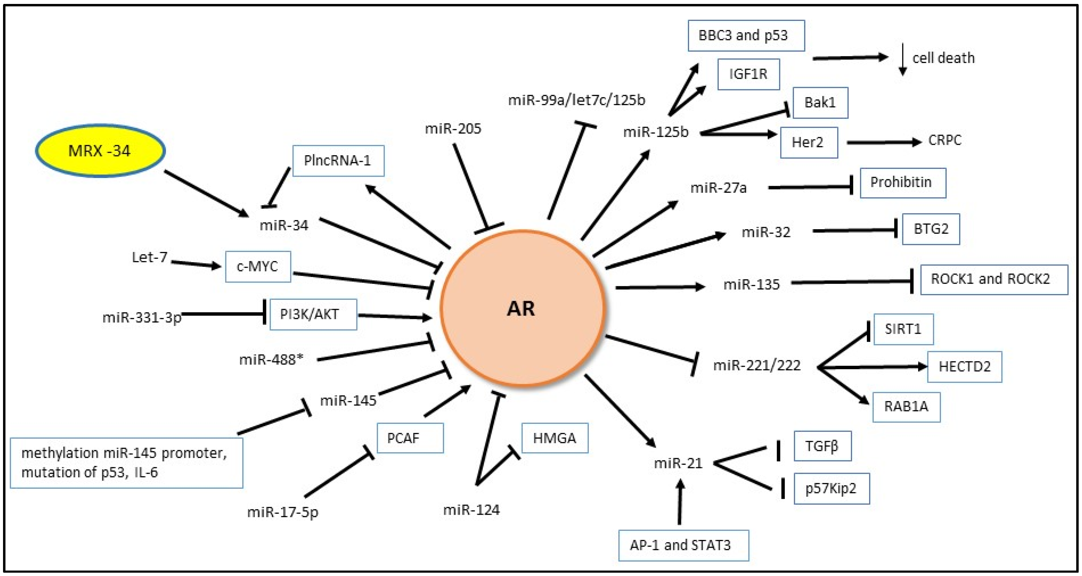 download Intracranial