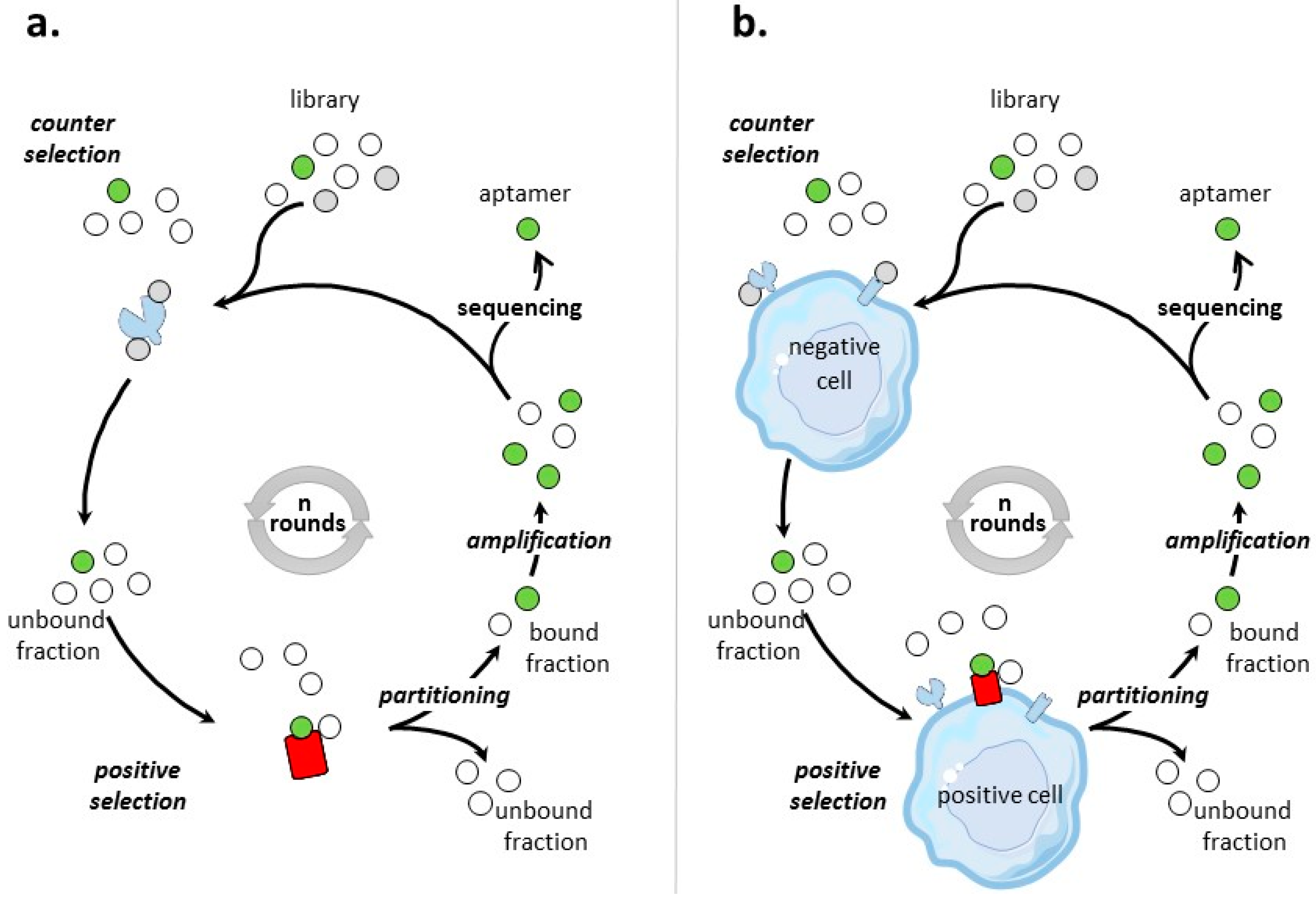 protein nucleic acid interaction pdf