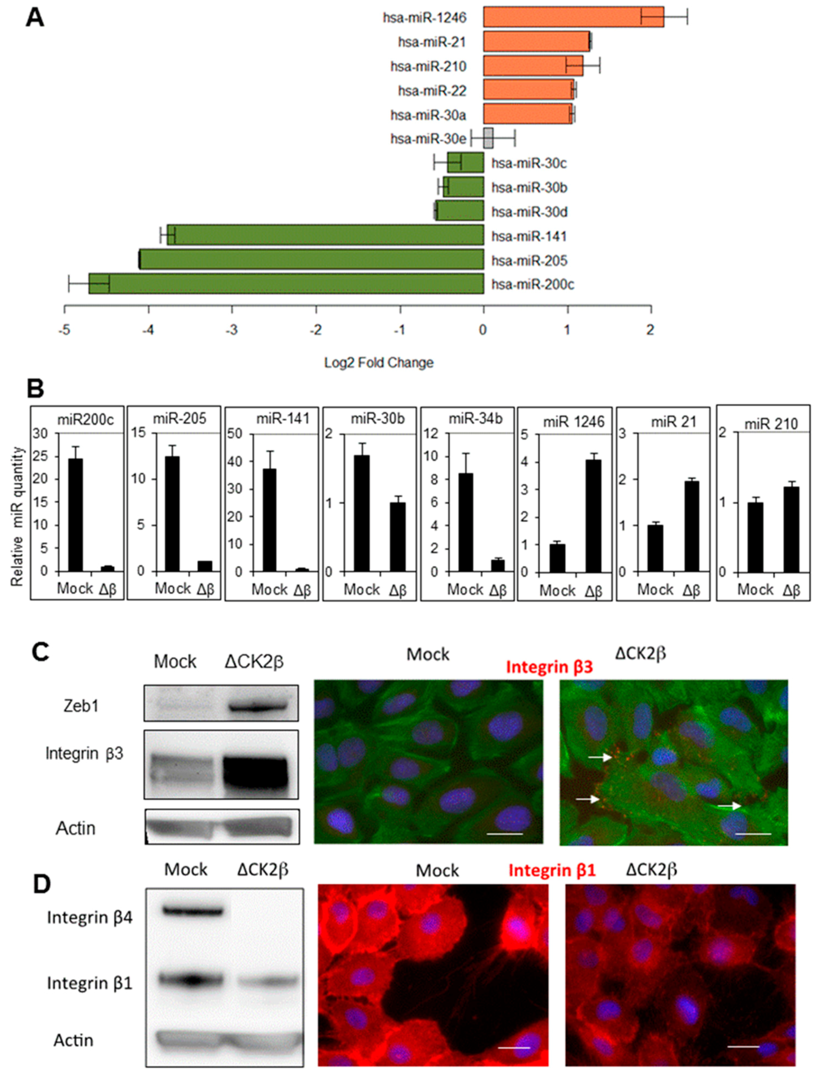 download the neurobiology