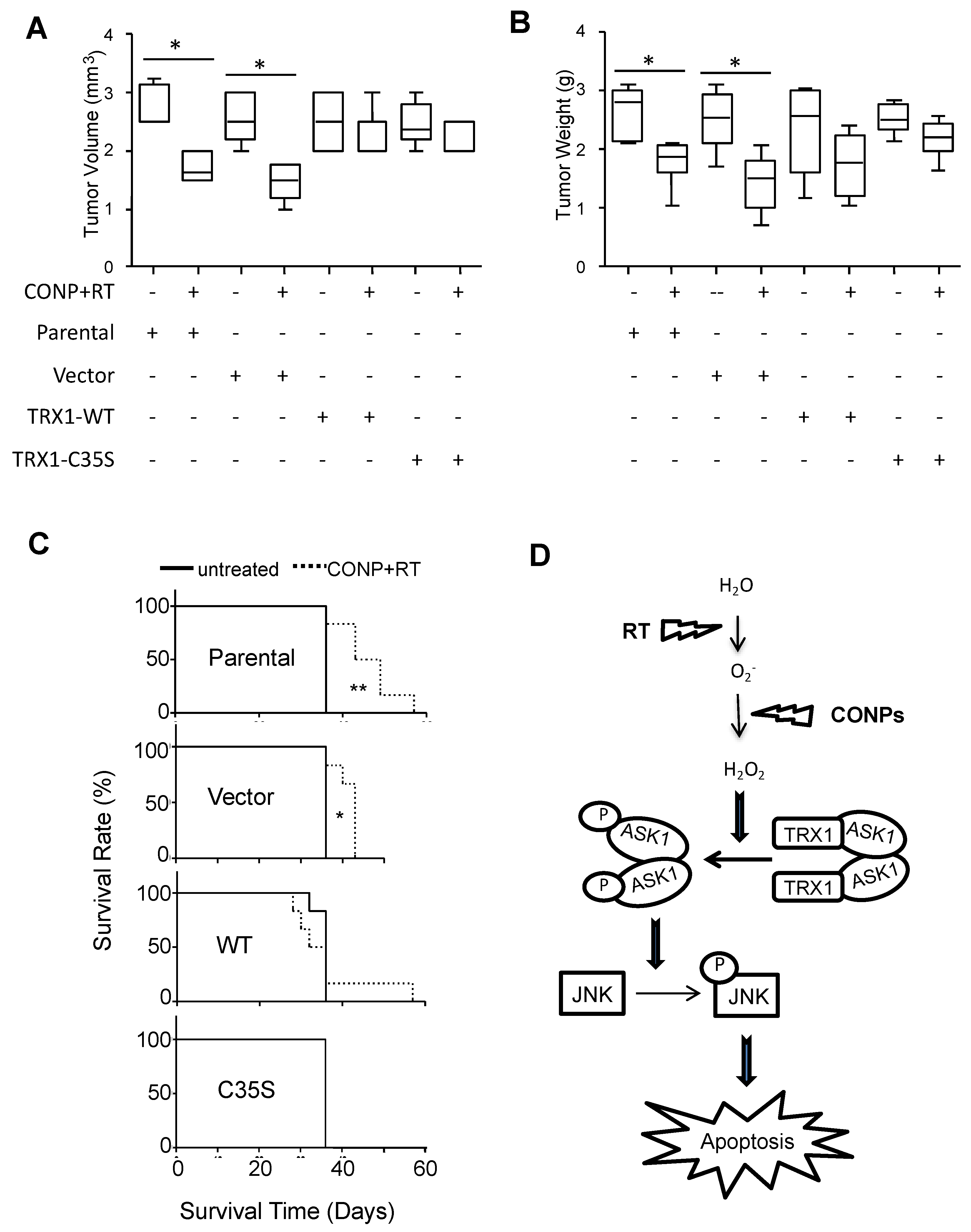 Cancers 10 00303 g008 Cancers 10 00303 g008