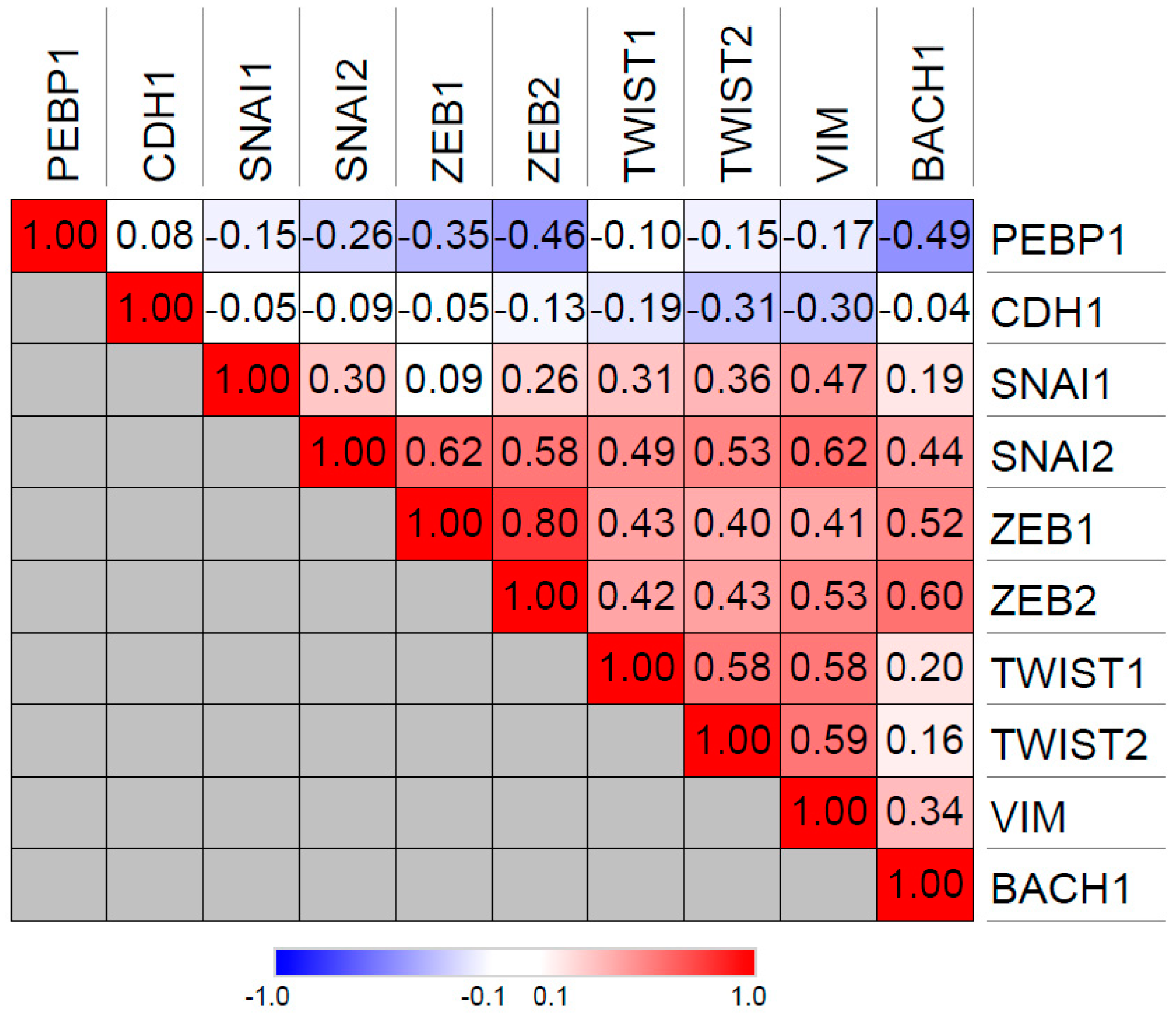Cancers 10 00306 g002