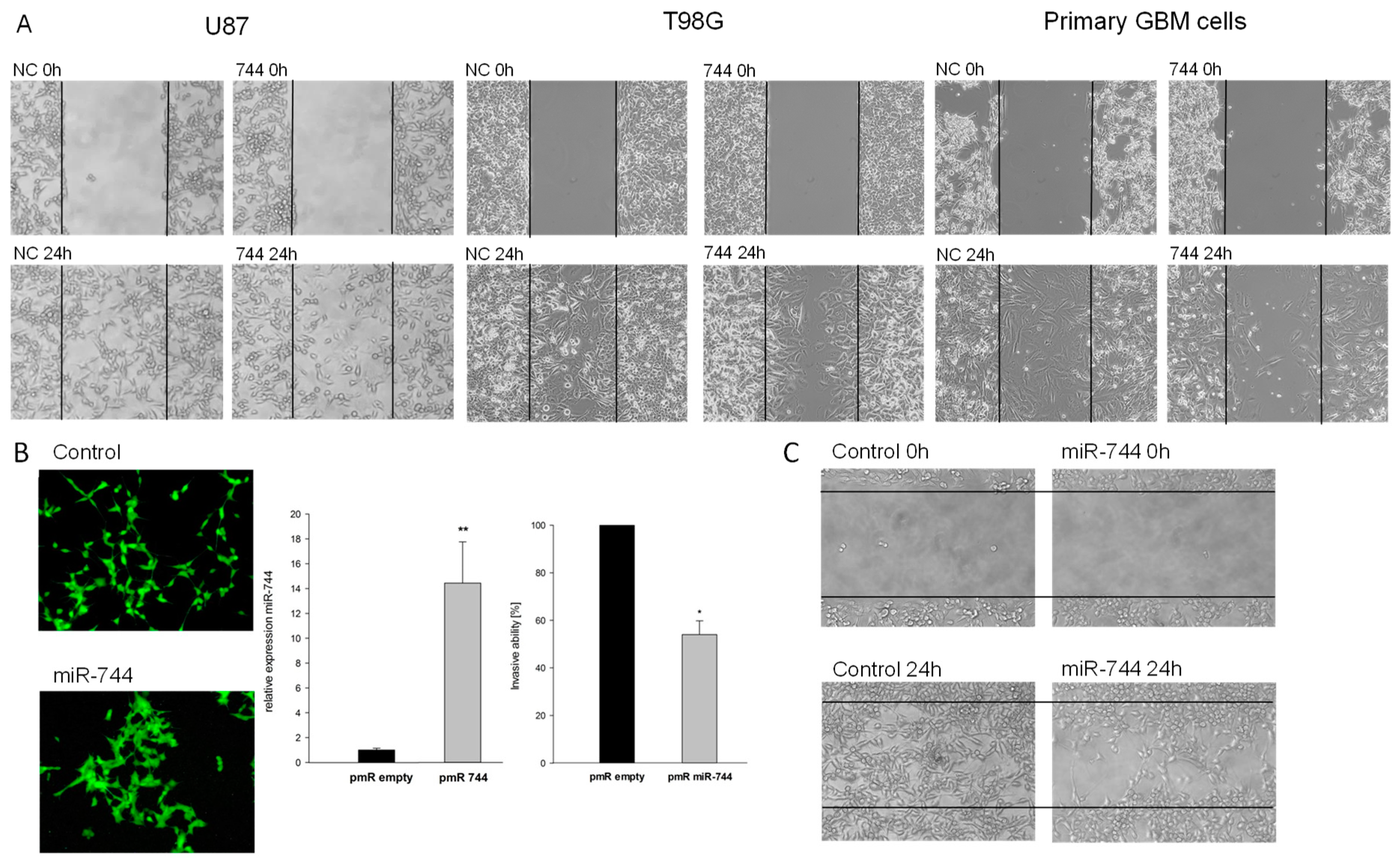 Cancers 10 00400 g002 Cancers 10 00400 g002