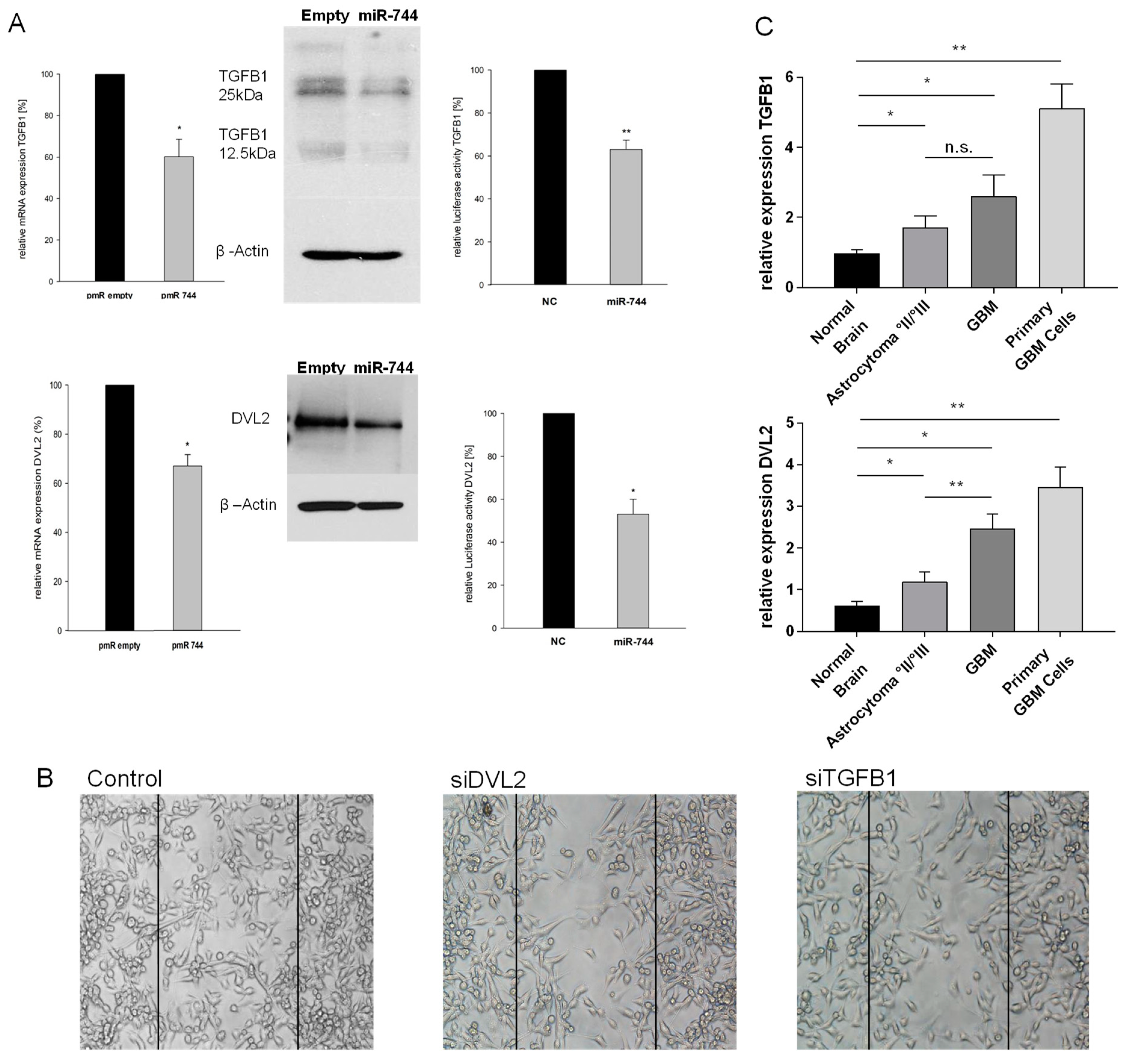 Cancers 10 00400 g003 Cancers 10 00400 g003
