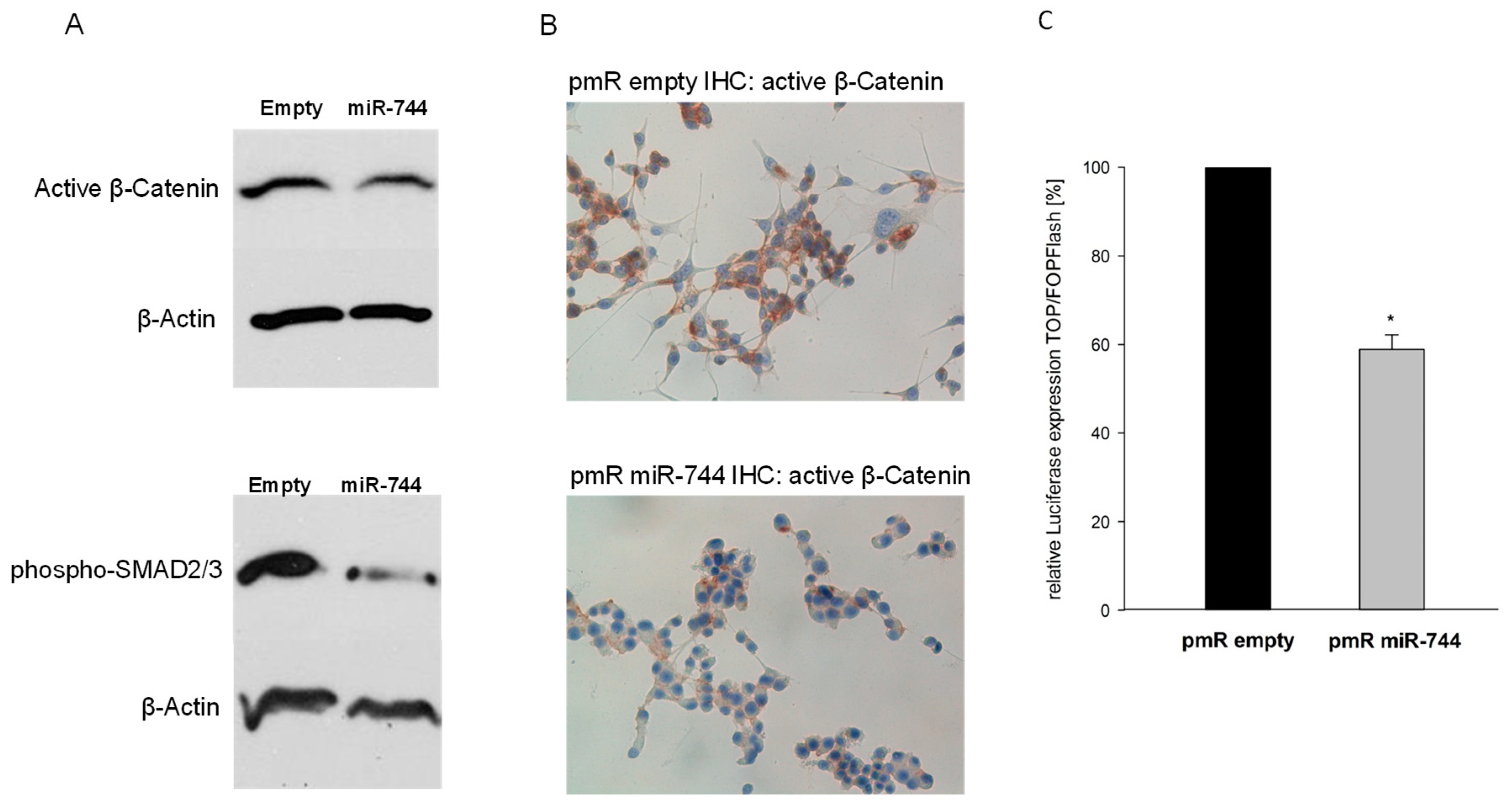 Cancers 10 00400 g004 Cancers 10 00400 g004