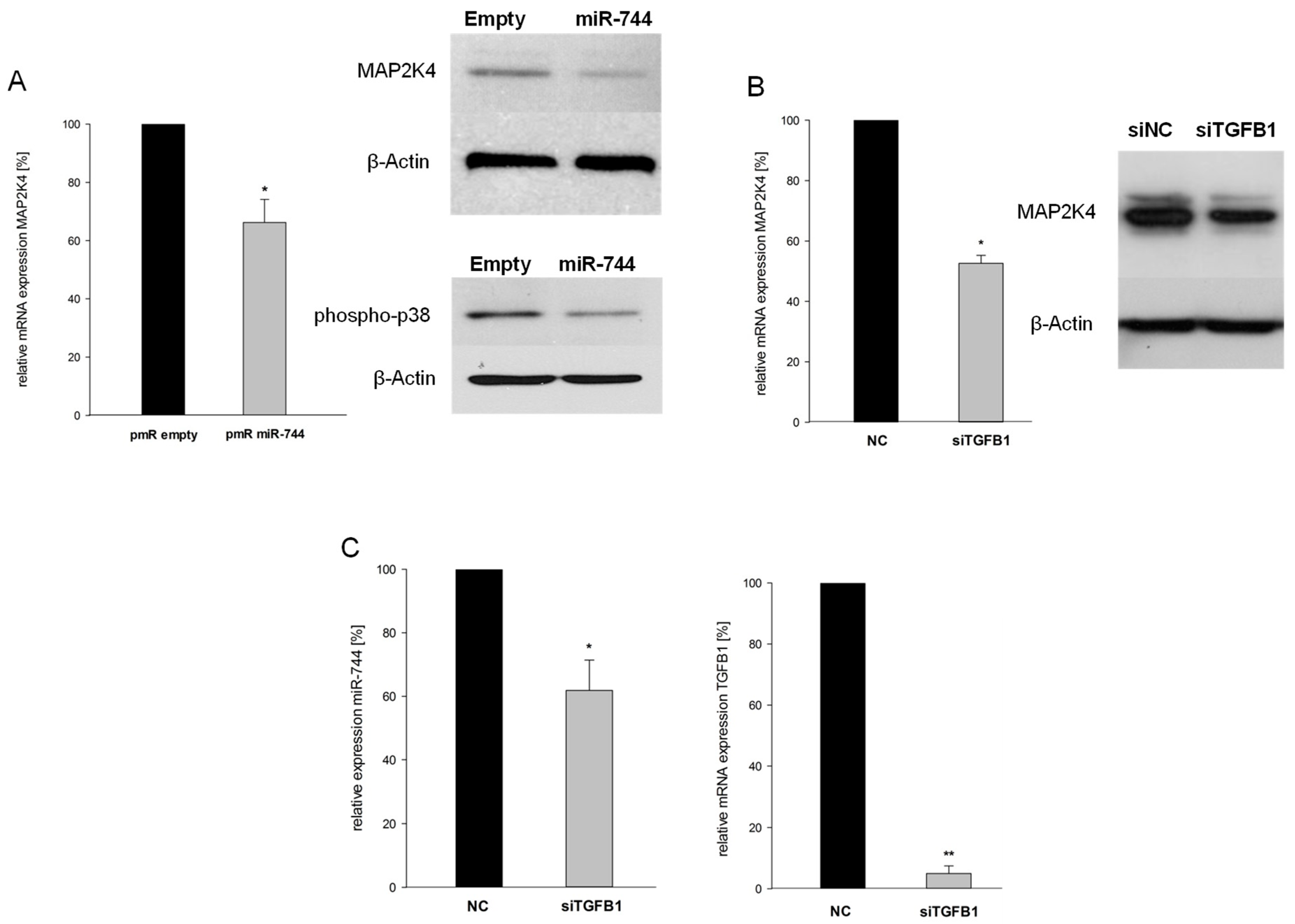 Cancers 10 00400 g005 Cancers 10 00400 g005