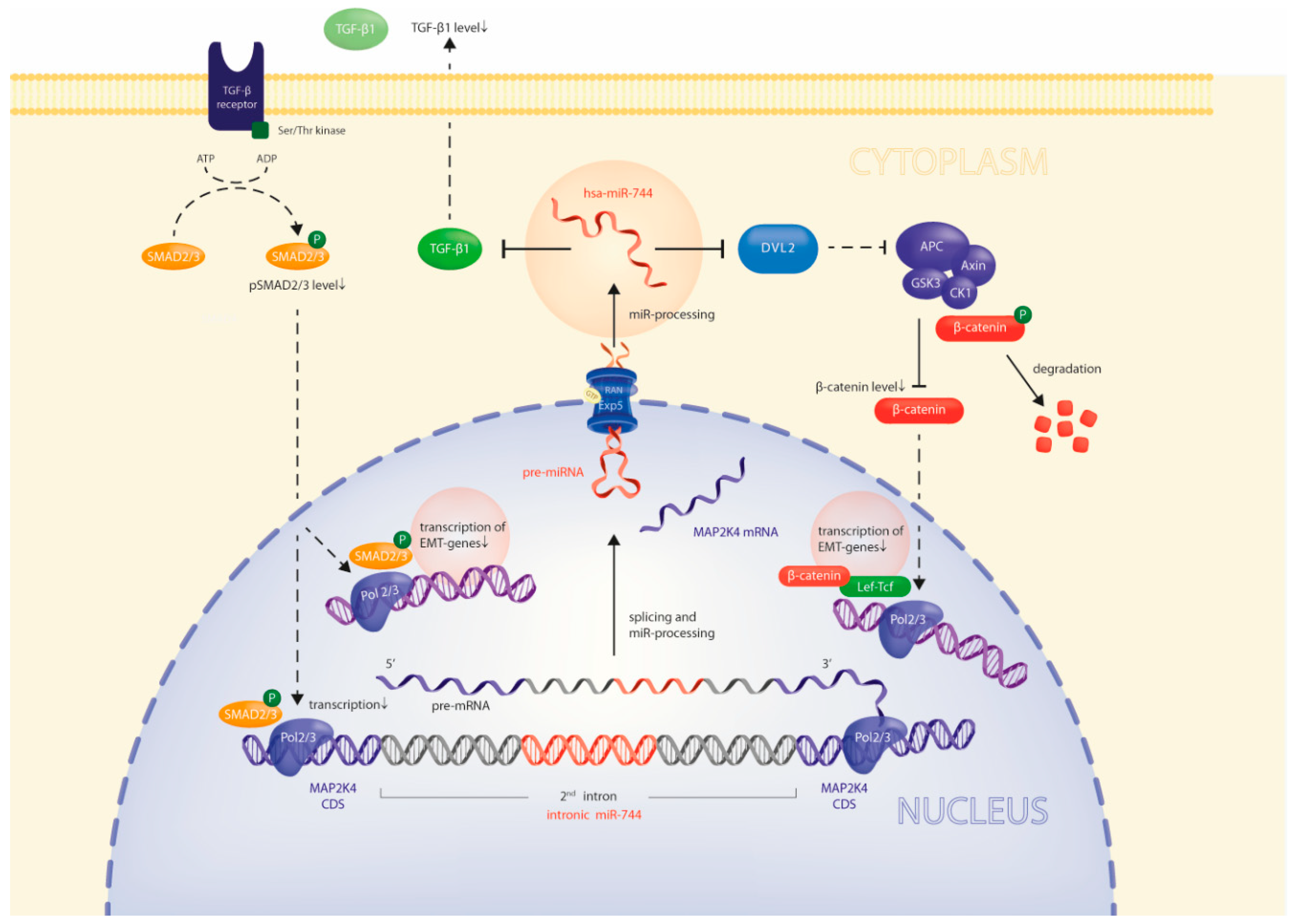 Cancers 10 00400 g006 Cancers 10 00400 g006