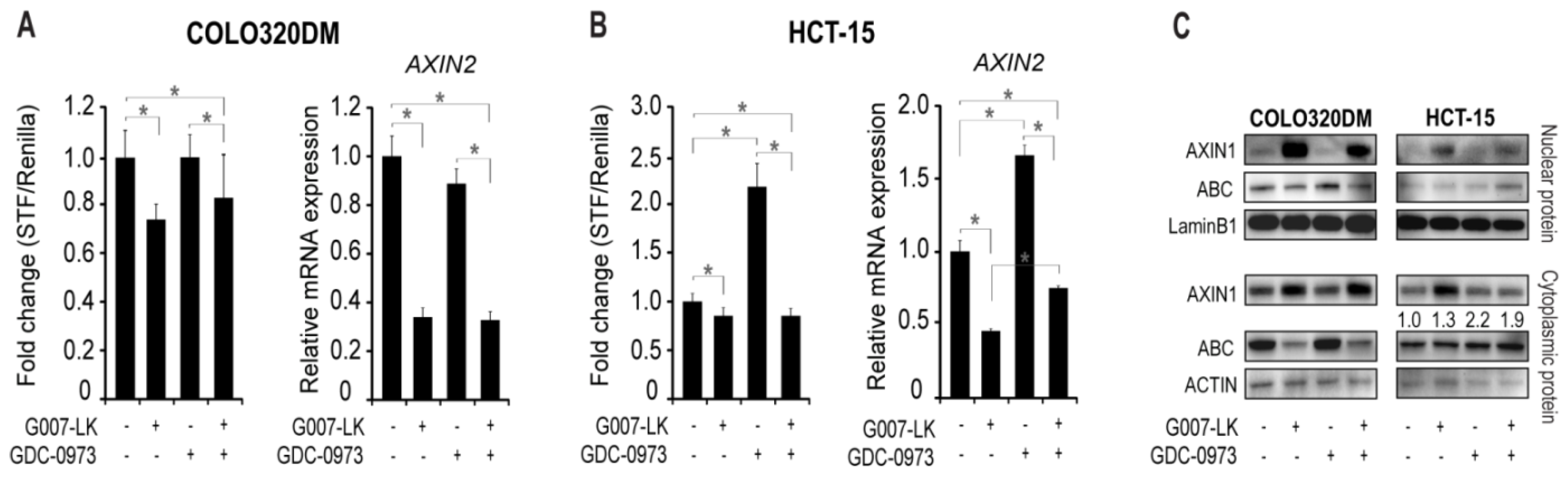 Cancers 11 00164 g002
