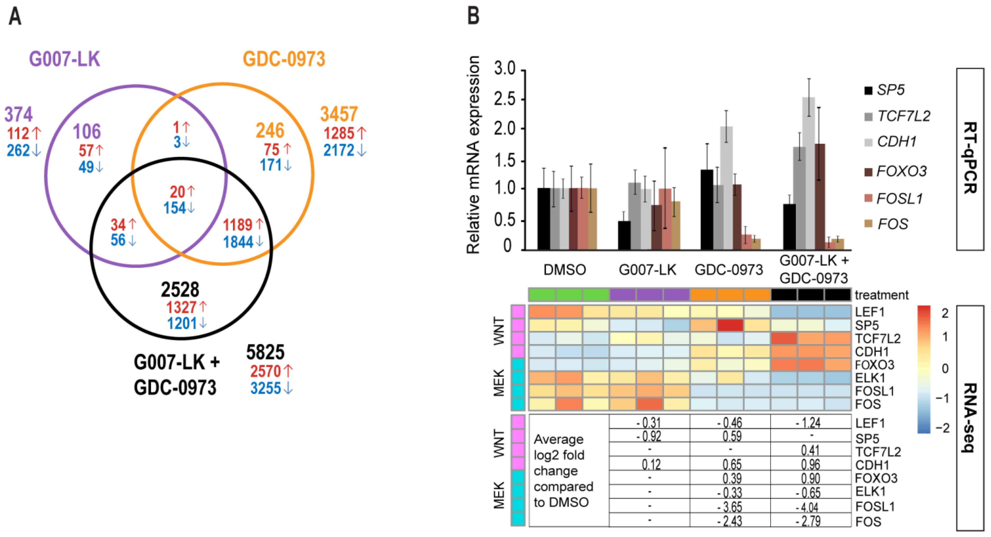 Cancers 11 00164 g003