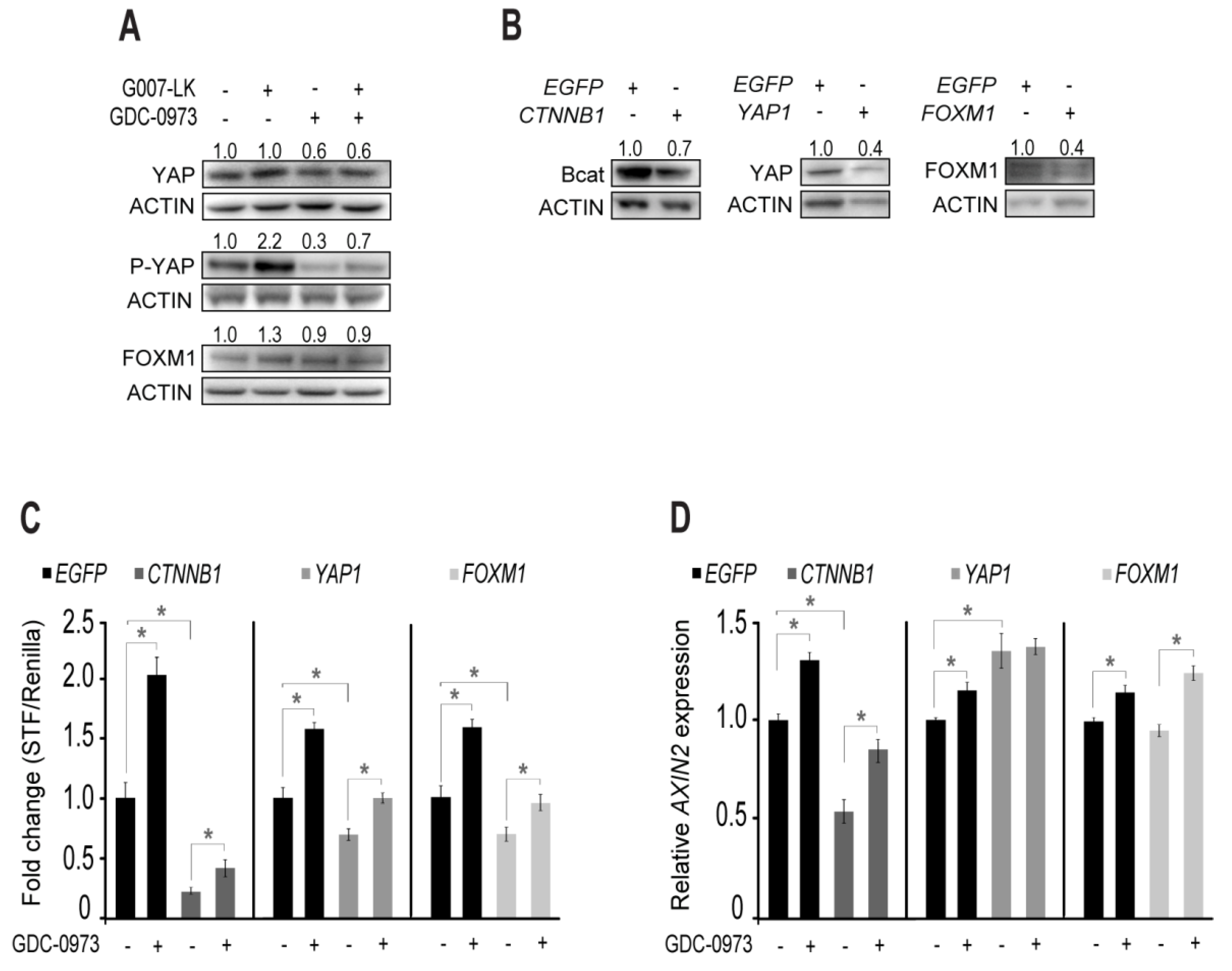 Cancers 11 00164 g006