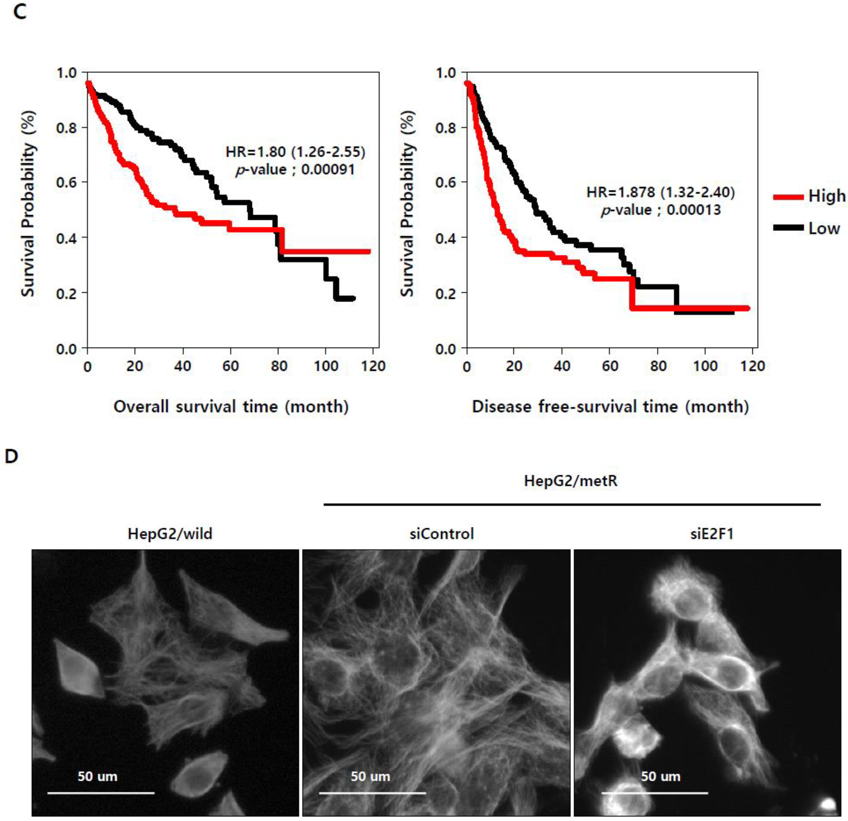 Cancers 11 00274 g004b