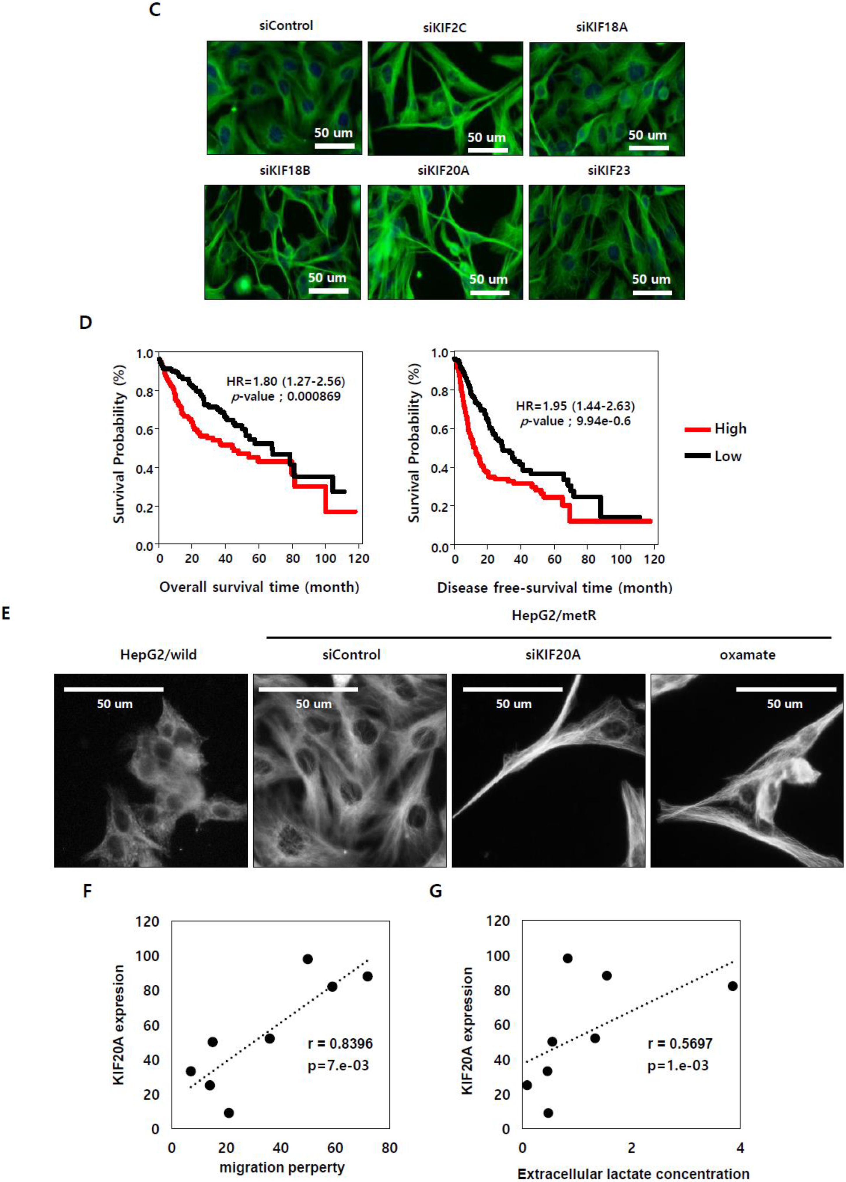Cancers 11 00274 g005b